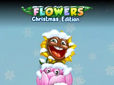 Flowers Christmas Edition