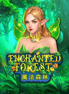 Enchanted Forest