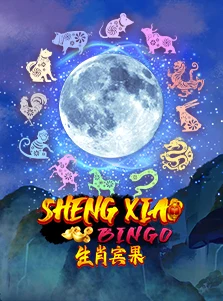 Sheng Xiao Bingo